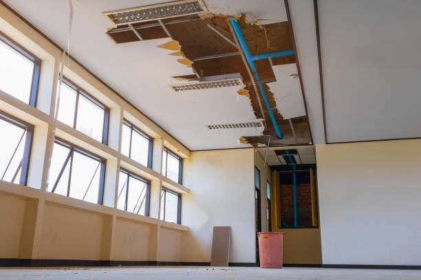 Best Water damage restoration experts  in Saltville, VA