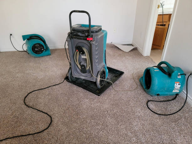 Best 24/7 water damage repair  in Saltville, VA