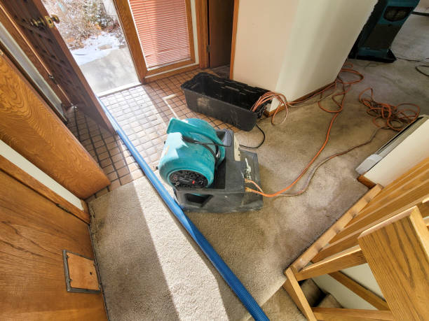 Best 24-hour water damage restoration  in Saltville, VA