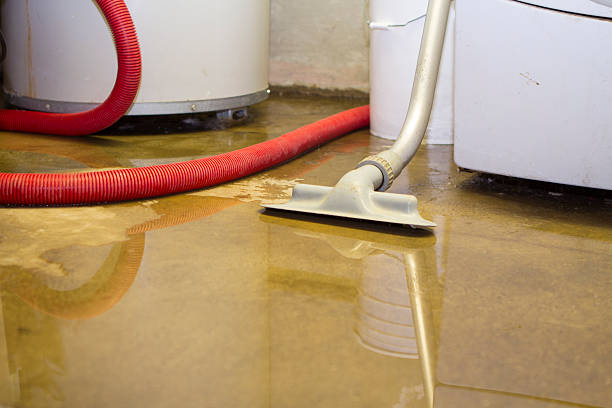 Best Water damage cleanup near me  in Saltville, VA