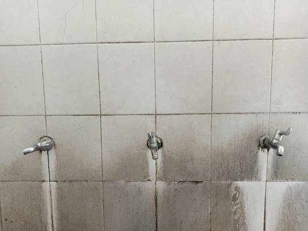 Best Fire Damage Restoration  in Saltville, VA