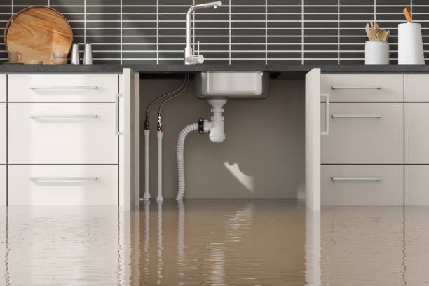 Best Flood damage cleanup  in Saltville, VA